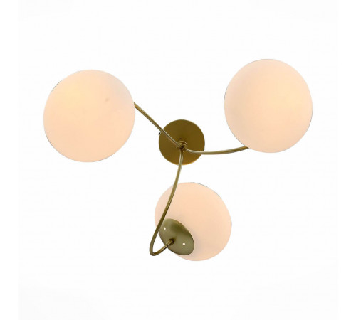 Потолочная люстра ST Luce Acini SL717.202.03