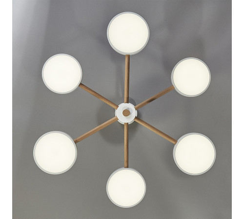 Потолочная светодиодная люстра Escada Astrid 10236/6LED