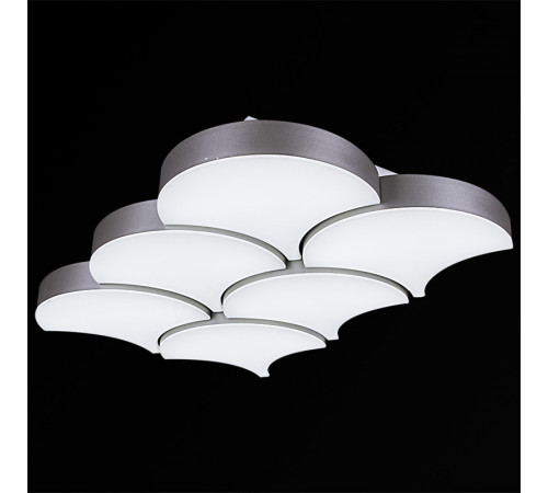 Потолочная люстра Reluce 01218-0.3-06LED