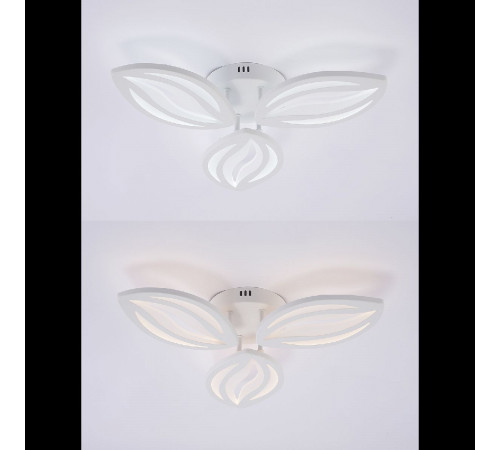 Потолочная люстра Natali Kovaltseva Sm LED LAMPS 81456 Потолочная люстра Natali Kovaltseva Sm LED LAMPS 81456
