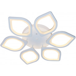 Потолочная светодиодная люстра Escada Lotus 10216/6LED 92W