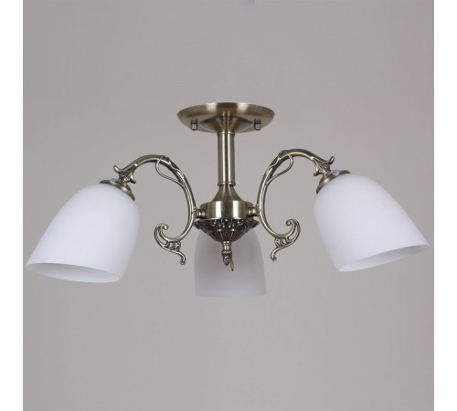 Потолочная люстра Reluce 70577-0.3-03