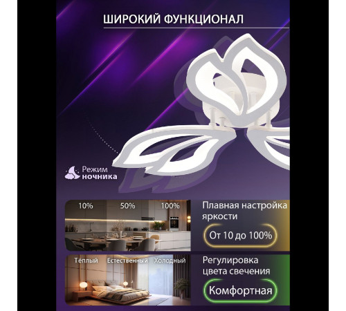 Потолочная люстра Natali Kovaltseva Fortuna LED LAMPS 81107/2C Потолочная люстра Natali Kovaltseva Fortuna LED LAMPS 81107/2C