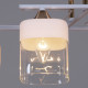 Потолочная люстра Reluce 06096-0.3-04 WH+FG