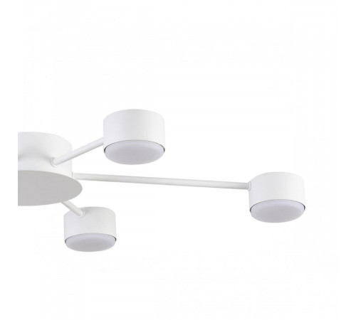 Потолочная люстра Lumion Comfi Torina 8343/6C