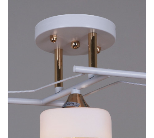 Потолочная люстра Reluce 06096-0.3-03 WH+FG Потолочная люстра Reluce 06096-0.3-03 WH+FG