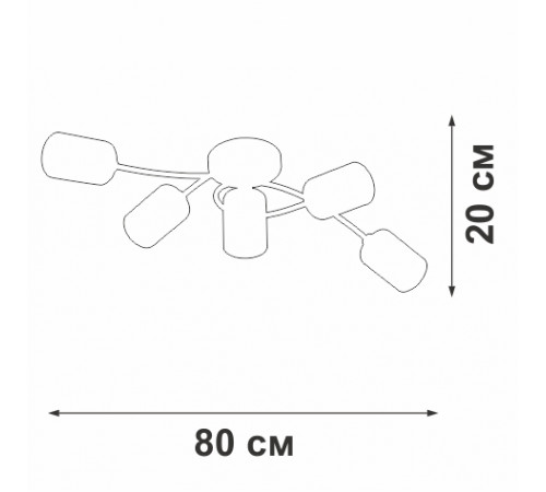Потолочная люстра Vitaluce V2048-1/5PL