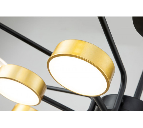 Потолочная светодиодная люстра Escada Halo 10211/SG LED