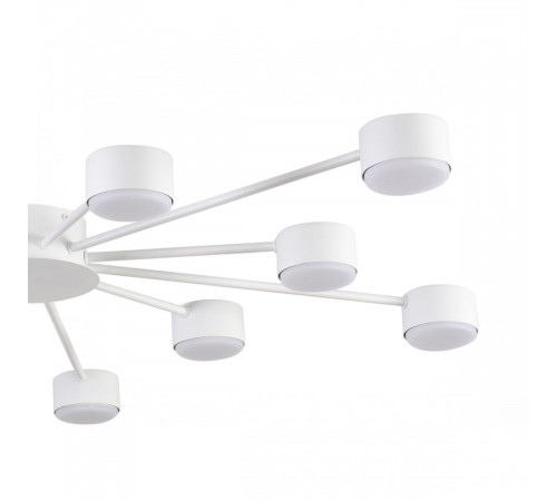 Потолочная люстра Lumion Comfi Torina 8343/12C