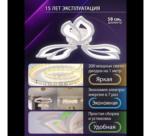 Потолочная люстра Natali Kovaltseva Fortuna LED LAMPS 81107/2C Потолочная люстра Natali Kovaltseva Fortuna LED LAMPS 81107/2C