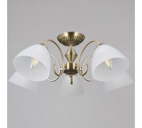 Потолочная люстра Illumico IL0897-5CSQ-26 AB ELITE