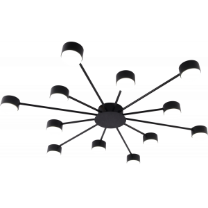 Потолочная люстра Rivoli Leona 3184-312 Б0070176