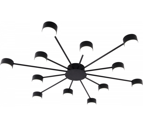 Потолочная люстра Rivoli Leona 3184-312 Б0070176