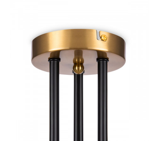 Потолочная люстра Freya Terra FR5260PL-06BS