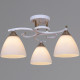 Потолочная люстра Reluce 05009-0.3-03 WH+FG