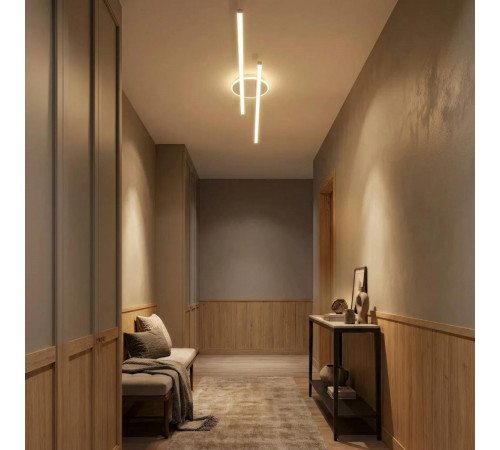 Потолочная люстра Citilux Trent CL203620