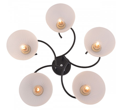 Потолочная люстра Reluce 01635-0.3-05 BK+CR