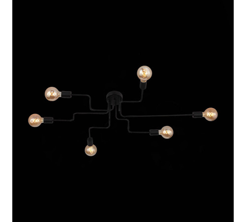Потолочная люстра ST Luce Ano SL419.442.06