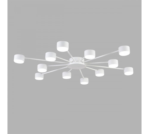 Потолочная люстра Lumion Comfi Torina 8343/12C