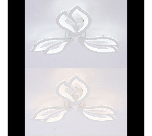 Потолочная люстра Natali Kovaltseva Fortuna LED LAMPS 81107/2C Потолочная люстра Natali Kovaltseva Fortuna LED LAMPS 81107/2C