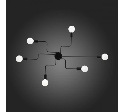 Потолочная люстра ST Luce Ano SL419.442.06
