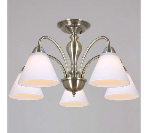 Потолочная люстра Reluce 52787-0.3-05