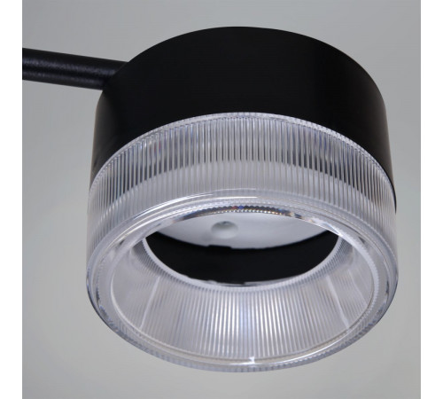 Потолочная люстра Reluce 19490-0.4-6+6 Black