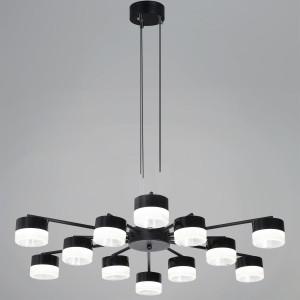 Потолочная люстра Reluce 19490-0.4-6+6 Black