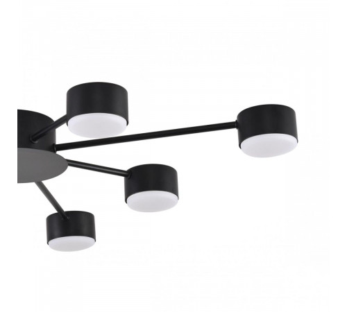 Потолочная люстра Lumion Comfi Torina 8344/8C