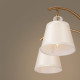 Потолочная люстра Freya Zingy FR5267PL-05BS