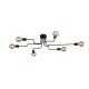 Потолочная люстра ST Luce Ano SL419.442.06