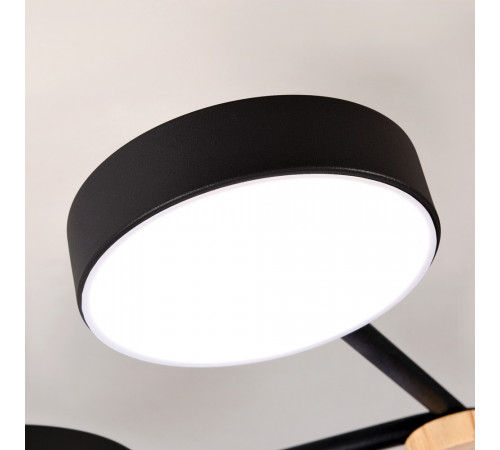 Потолочная люстра LED4U L3201-700 BK Потолочная люстра LED4U L3201-700 BK
