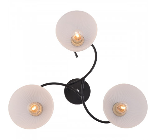 Потолочная люстра Reluce 01635-0.3-03 BK+CR