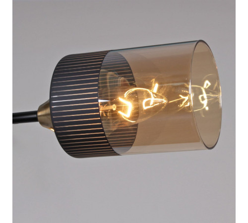 Потолочная люстра Reluce 48460-0.3-04 BK+COPPER