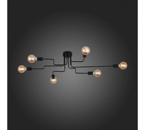 Потолочная люстра ST Luce Ano SL419.442.06