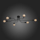 Потолочная люстра ST Luce Ano SL419.442.06