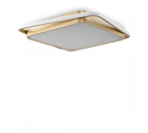 Потолочная люстра Freya Yaku FR10026CL-L93G