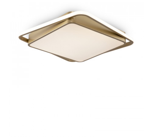 Потолочная люстра Freya Yaku FR10026CL-L93G