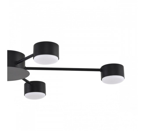 Потолочная люстра Lumion Comfi Torina 8344/6C