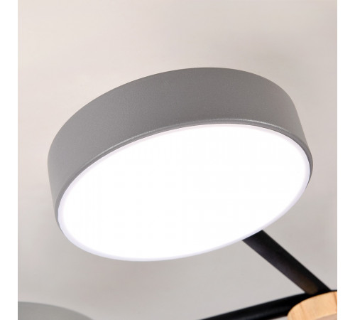 Потолочная люстра LED4U L3201-960 GR Потолочная люстра LED4U L3201-960 GR
