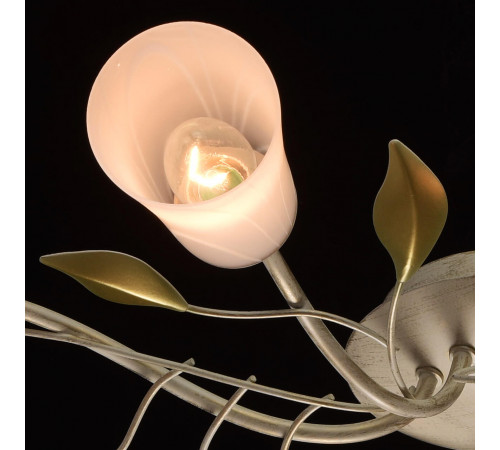 Потолочная люстра MW-Light Восторг 242015306 Потолочная люстра MW-Light Восторг 242015306
