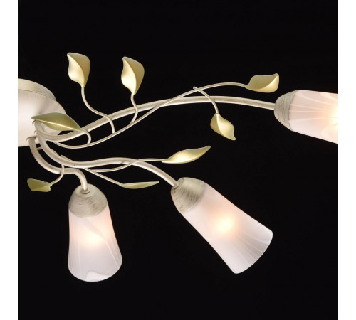 Потолочная люстра MW-Light Восторг 242015306 Потолочная люстра MW-Light Восторг 242015306