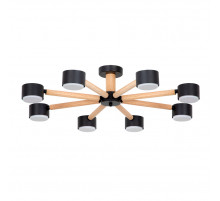 Потолочные люстры Arte Lamp Tenda A1624PL-8BK