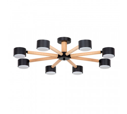 Потолочные люстры Arte Lamp Tenda A1624PL-8BK