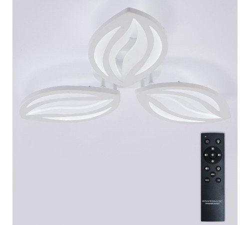 Потолочная люстра Natali Kovaltseva Sm LED LAMPS 81456 Потолочная люстра Natali Kovaltseva Sm LED LAMPS 81456