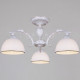 Потолочная люстра Reluce 29018-0.3-03