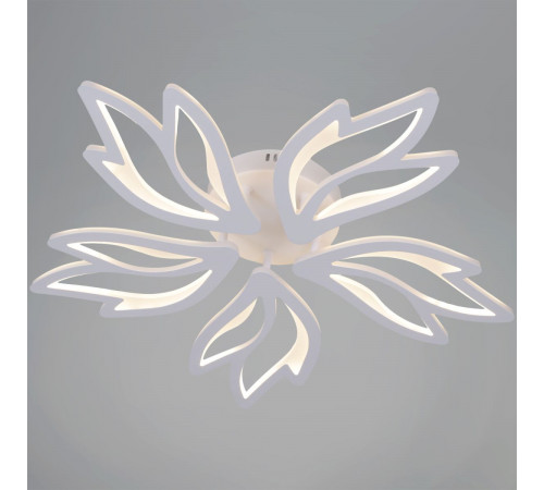 Потолочная люстра Reluce 09862-0.3-05 WH