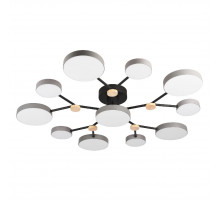 Потолочная люстра LED4U L3201-960 GR