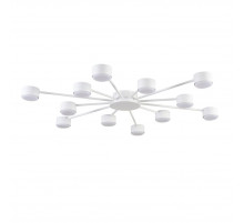 Потолочная люстра Lumion Comfi Torina 8343/12C