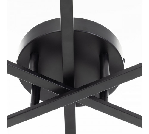 Потолочная люстра Citilux Glob CL209261